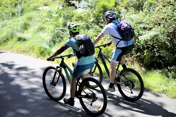 Couple mountain biking in the Palatinate Forest