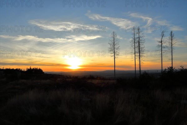 Sunset on the Rothaarsteig, hiking trail, Rothaargebirge, Hesse, Germany, Europe