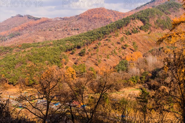 Mountains and valley with trees in beautiful fall colors under low level clouds