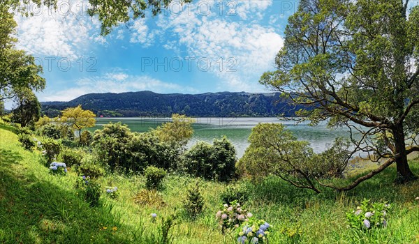 Panoramic view of Furnas Lake surrounded by grass and trees under a clear blue sky, Furnas, Sao Miguel, Azores, Portugal, Europe