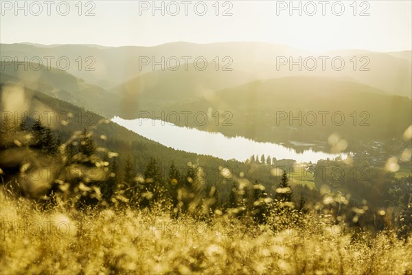 View from Hochfirst to Titisee and Feldberg, sunset, near Neustadt, Black Forest, Baden-Wuerttemberg, Germany, Europe