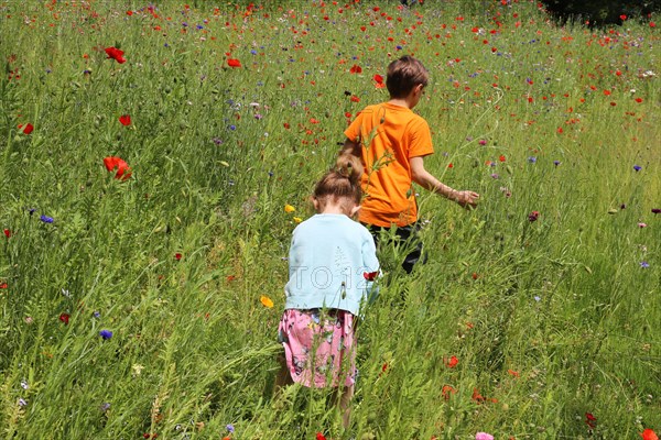 Boy and girl (siblings) running on a flower meadow