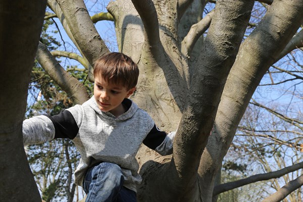 Seven-year-old boy climbs a tree