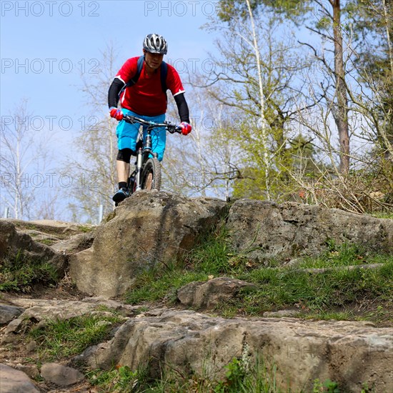 Mountain biker in difficult terrain in the Palatinate Forest near Wolfsburg