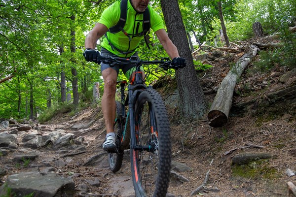 Mountain biker on a rocky spot above Wolfsburg Castle in the Palatinate Forest, Germany, Europe