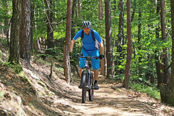 Mountain bikers downhill in the forest (Edenkobener Tal, Palatinate Forest, Mobel released)