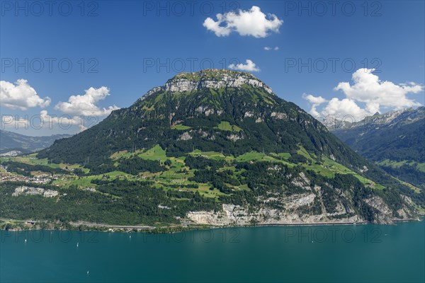 View from Seelisberg over Lake Lucerne to the Fronalpstack, Canton Uri, Switzerland, Seelisberg, Lake Lucerne, Uri, Switzerland, Europe