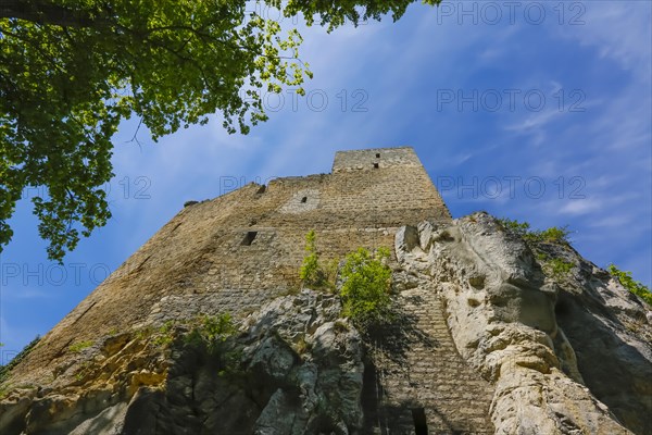 Ruin Reussenstein, ruin of a rock castle above Neidlingen, rock above the Neidlingen valley, ministerial castle of the Teck dominion, Neidlingen, Swabian Alb, Baden-Wuerttemberg, Germany, Europe