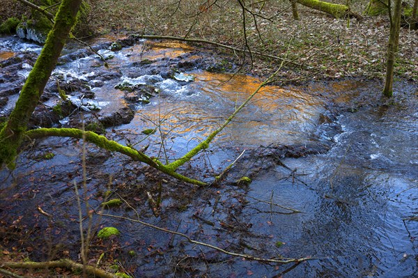 Stream with icing, Egloffstein, Upper Franconia, Bavaria, Germany, Europe