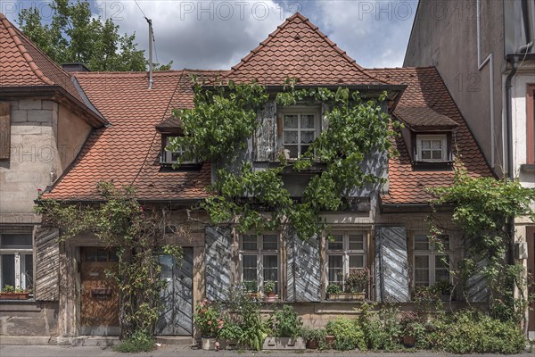 Various climbing plants on an old residential building, Erlangen, Middle Franconia, Bavaria, Germany, Europe