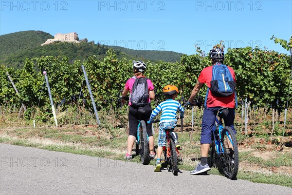Cycling trip with the family through the vineyards of the Palatinate between Neustadt an der Weinstrasse and Maikammer. The Palatinate Forest and Hambach Castle can be seen in the background