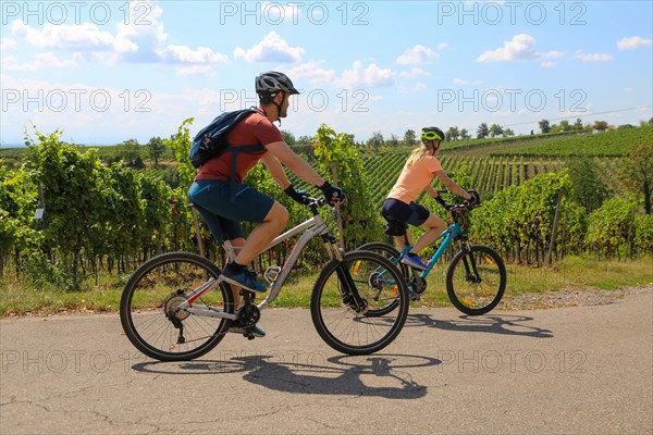 Symbolic image: Young couple on a bike tour in the vineyards, here in the Palatinate near Neustadt an der Weinstrasse