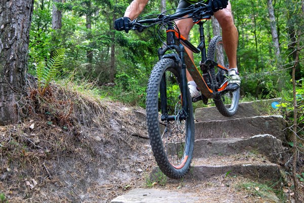 Mountain biker riding steps on a single trail near Weinbiet in the Palatinate Forest, Germany, Europe