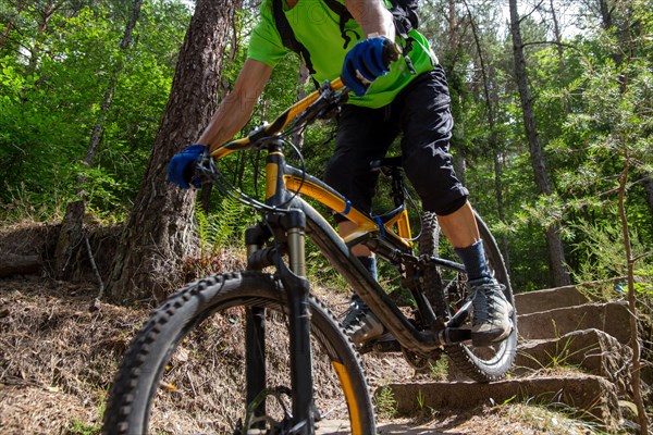 Mountain biker in the Palatinate Forest rides a difficult single trail with several steps