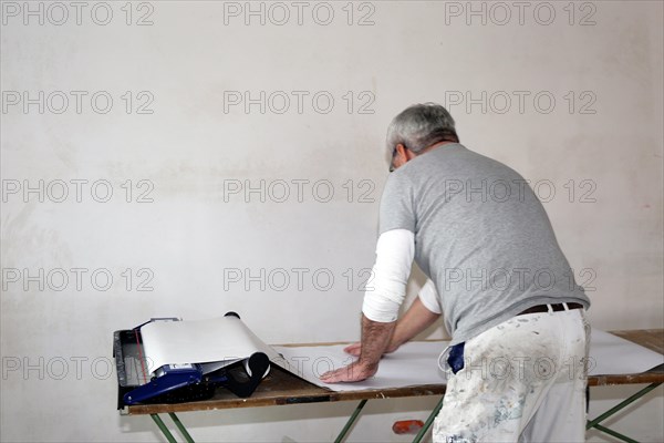 Craftsman (painter) for wallpapering work