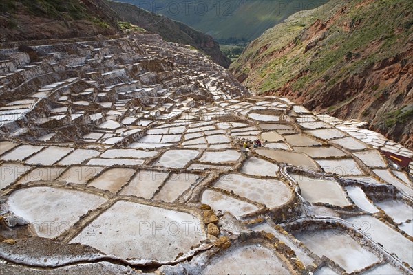 Salineras de Maras or salt mines of Maras, Cusco region, Peru, South America