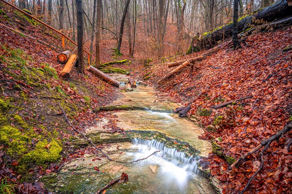 Waterfall in the Rautal forest in Jena in winter, Jena, Thuringia, Germany, Europe