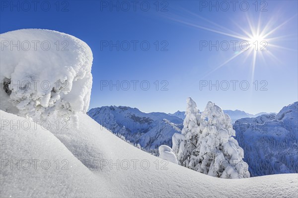 Winter landscape and snow-covered trees in front of mountains, winter, Sonnenstern, Tegelberg, Ammergau Alps, Upper Bavaria, Bavaria, Germany, Europe