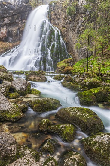 Waterfall and river, forest, gorge, summer, mountain landscape, long exposure, Gollinger waterfall, Salzburg, Austria, Europe