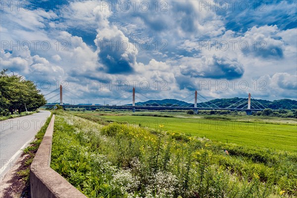 Landscape of field of green next to country road with bridge and mountains in background under cloudy sky in South Korea
