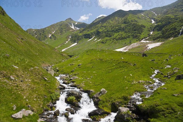 A clear mountain stream flows through green meadows below snow-covered slopes, Capra River, mountain road, Transfogarasan High Road, Transfagarasan, TransfagaraÈ™an, FagaraÈ™ Mountains, Fagaras, Transylvania, Transylvania, Transylvania, Ardeal, Transilvania, Carpathians, Romania, Europe