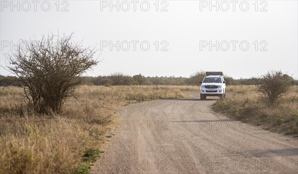 Toyota Hilux off-road vehicle with roof tent on a dirt road, African savannah, Kruger National Park, South Africa, Africa