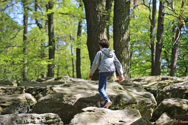 Boy climbing on the sea of rocks below the Kalmit in the Palatinate Forest