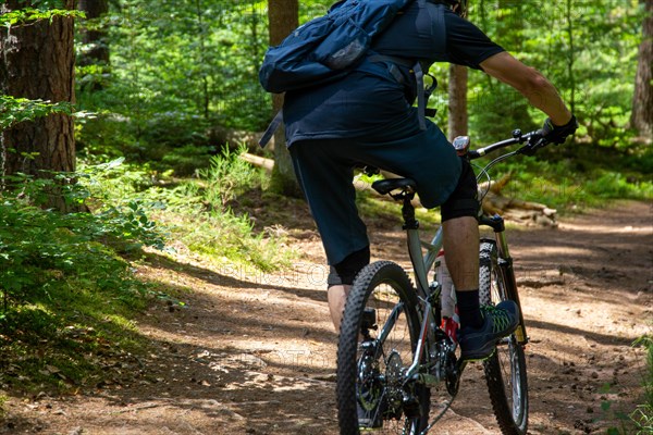 Mountain bikers out and about in the Pfaelzerwald mountain bike park near Dahn