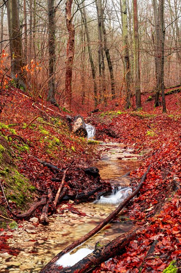 Waterfall in the Rautal forest in Jena in winter, Jena, Thuringia, Germany, Europe