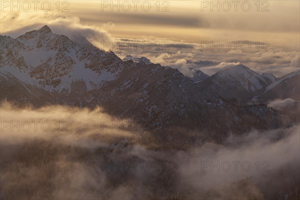 Cloudy mood over snowy mountains, backlight, winter, high fog, Estergebirge, Bavarian Alps, Upper Bavaria, Bavaria, Germany, Europe