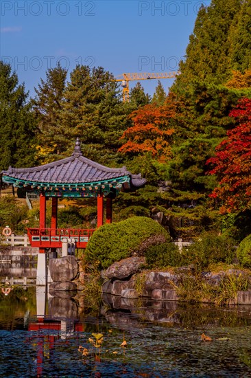Oriental gazebo with terracotta tile roof at edge of man made pond and yellow construction crane against blue sky in South Korea