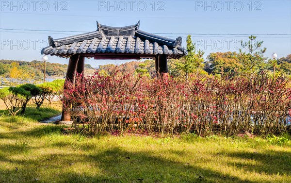 Pavilion in roadside park behind hedge with red autumn leaves in South Korea