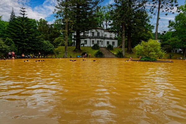 Bathers in the large yellow thermal lake and white spa centre, thermal baths, Furnas, Sao Miguel, Azores, Portugal, Europe