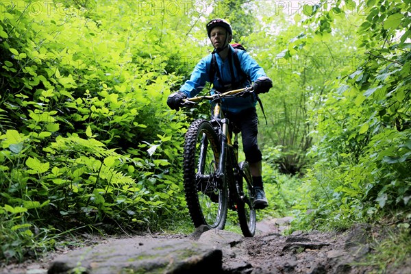 Mountain bikers on a difficult trail in the Palatinate Forest