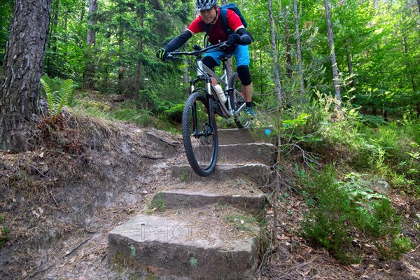 Mountain biker riding steps on a single trail near Weinbiet in the Palatinate Forest, Germany, Europe