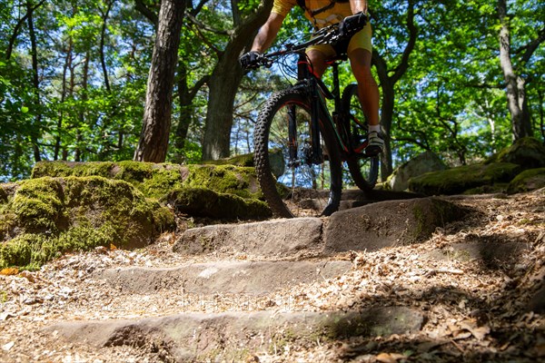 Mountain biker riding a difficult single trail with several steps