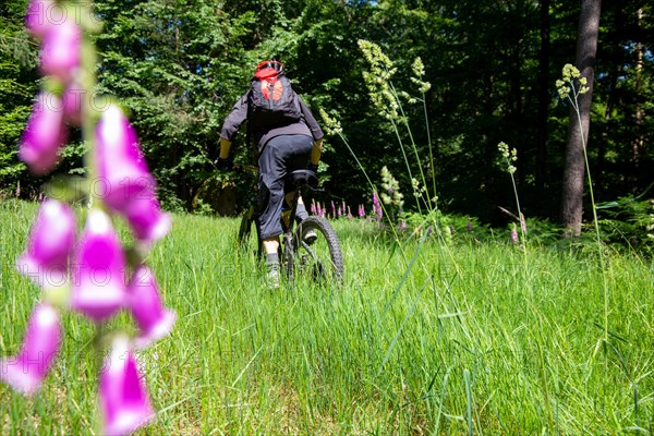 Mountain bikers on tour in the Pfaelzerwald mountain bike park near Dahn