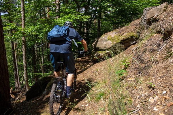 Mountain bikers on tour in the Pfaelzerwald mountain bike park near Dahn