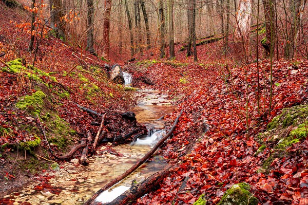 Waterfall in the Rautal forest in Jena in winter, Jena, Thuringia, Germany, Europe