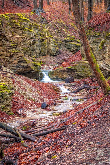 Waterfall in the Rautal forest in Jena in winter, Jena, Thuringia, Germany, Europe