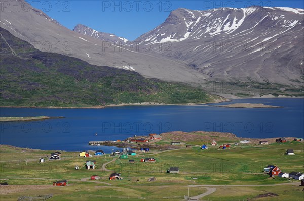 Houses are widely scattered in a meadow by a fjord in a barren landscape, Igaliku, North America, Greenland, Denmark, North America