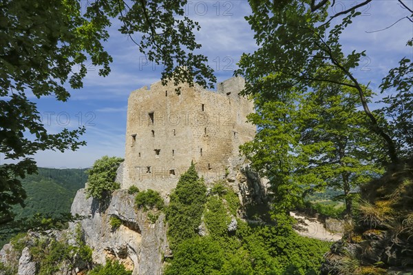 Ruin Reussenstein, ruin of a rock castle above Neidlingen, rock above the Neidlingen valley, ministerial castle of the Teck dominion, Neidlingen, Swabian Alb, Baden-Wuerttemberg, Germany, Europe