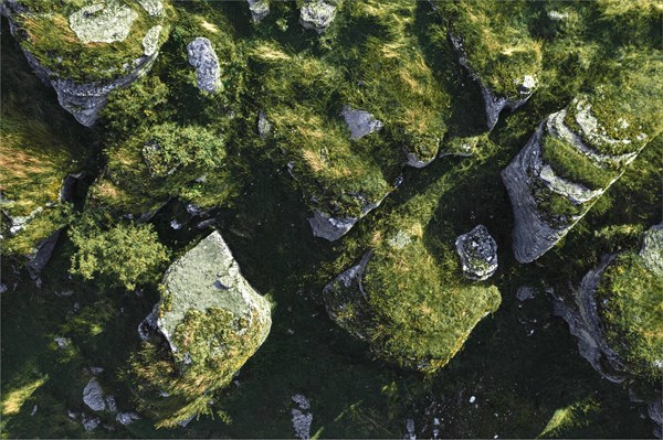 Group of beauty rock karst formations on Lessinia Plateau Regional Natural Park (Altopiano della Lessinia), Erbezzo, municipality Provincia di Verona Italy, southern Europe