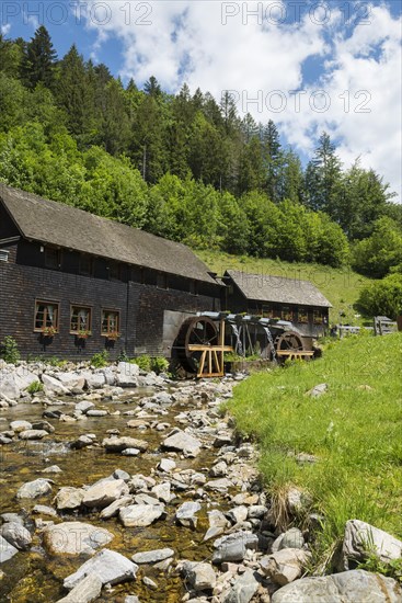 Hexenlochmuehle, near St Maergen, Black Forest, Baden-Wuerttemberg, Germany, Europe