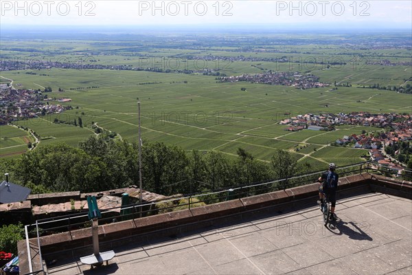 View of the Rhine plain from the Rietburg above Rhodt