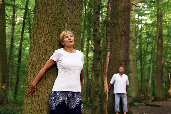 Group forest bathing (Shinrin Yoku), nature therapy from Japan