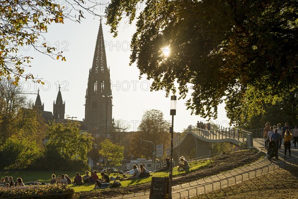 City garden with Karlssteg and Freiburg Minster, sunset, Freiburg im Breisgau, Black Forest, Baden-Wuerttemberg, Germany, Europe