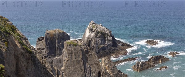 Rocky rugged coastline near Azenha do Mar, Alentejo Littoral, Portugal, southern Europe with white storks (Ciconia ciconia) nesting on cliffs, the only place in the world where they nest on the coastWaves breaking on dramatic rocky, Europe