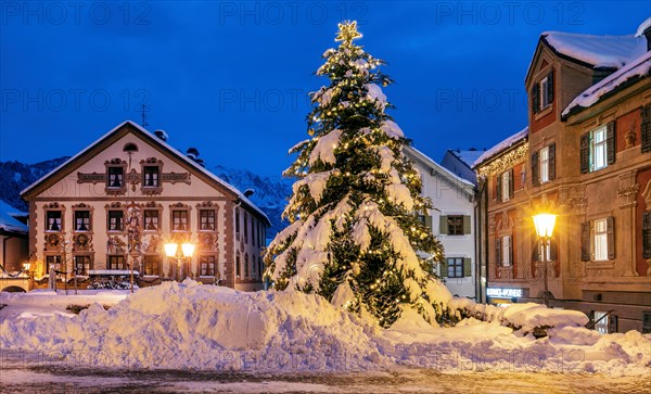 Snow-covered Christmas tree on the historic Ludwigstrasse in the Partenkirchen district at dusk, Garmisch-Partenkirchen, Loisachtal, Werdenfelser Land, Upper Bavaria, Bavaria, Germany, Europe