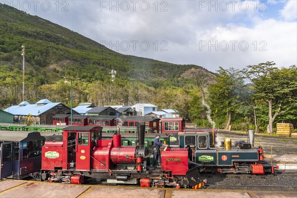 Steam locomotives and carriages of the historic convict railway Train to the End of the World, Tierra del Fuego National Park, Tierra del Fuego Island, Patagonia, Argentina, South America